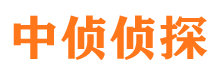 宝丰外遇调查取证